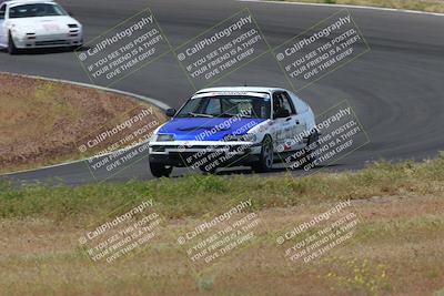 media/May-04-2024-Lucky Dog Racing (Sat) [[d39539b3f3]]/Race Pics/1015am (Turn 2)/